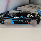 P1010016