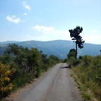 DSCN9174
