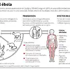 ebola-brote-africa-grave-oms-260614