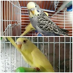 20170430_223131