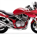 Suzuki GSF 600S Bandit 2000