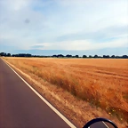DSCN6696