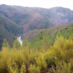 DSCN9896