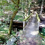 DSCN6931