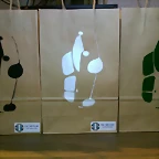 bolsas