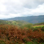 DSCN6243