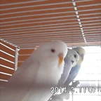CIMG0292