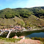 DSCN0487