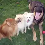 Mis peques en el parque !!