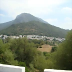 DSC07454