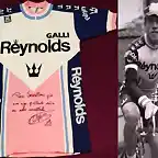 REYNOLDS 1981-PERICO