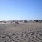 pesca y c 001