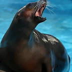 Zoo de Barcelona 03-04-11 868