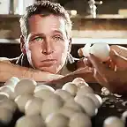 Paul-Newman-leyenda-Indomable_TINIMA20121228_0338_5