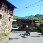 DSCN2953