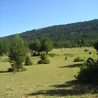 P1010096