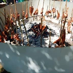 DSCN0733