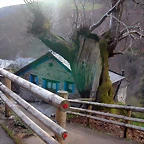 DSCN8556