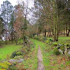 12-IMG_4934