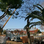 Zoo de Barcelona 09-02-11 220