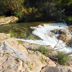 DSCN3131
