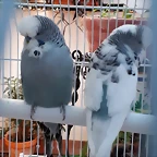 20191107_162256