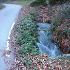 DSCN5032