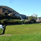 DSCN4117