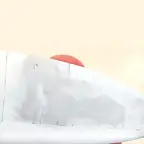 SDC39120