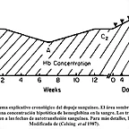 grafico