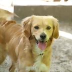ROCKY-3