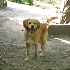 ROCKY-1
