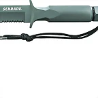 SCHF2_large