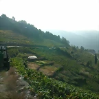 DSCN7488