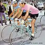 DE_MUYNCK_giro1978,gimondi