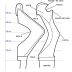 73f1175cdee470e662a4b95d438f7416