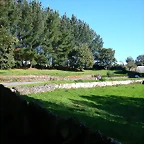DSCN5495