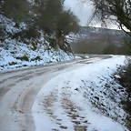 28-IMG_4713