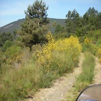 DSCN5731