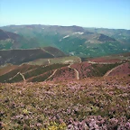 DSCF2563