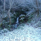 DSCN4798