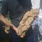 01062012519