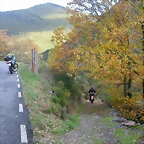 DSCN6131