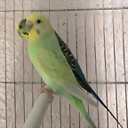 IMG-20170716-WA0019
