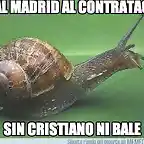 caracol