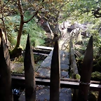 DSCN8443
