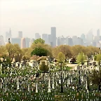NY 26-4-2016 (1)