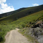 DSCN3984