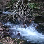 DSCN7921