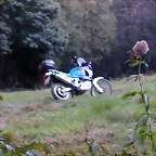 DSCN7915